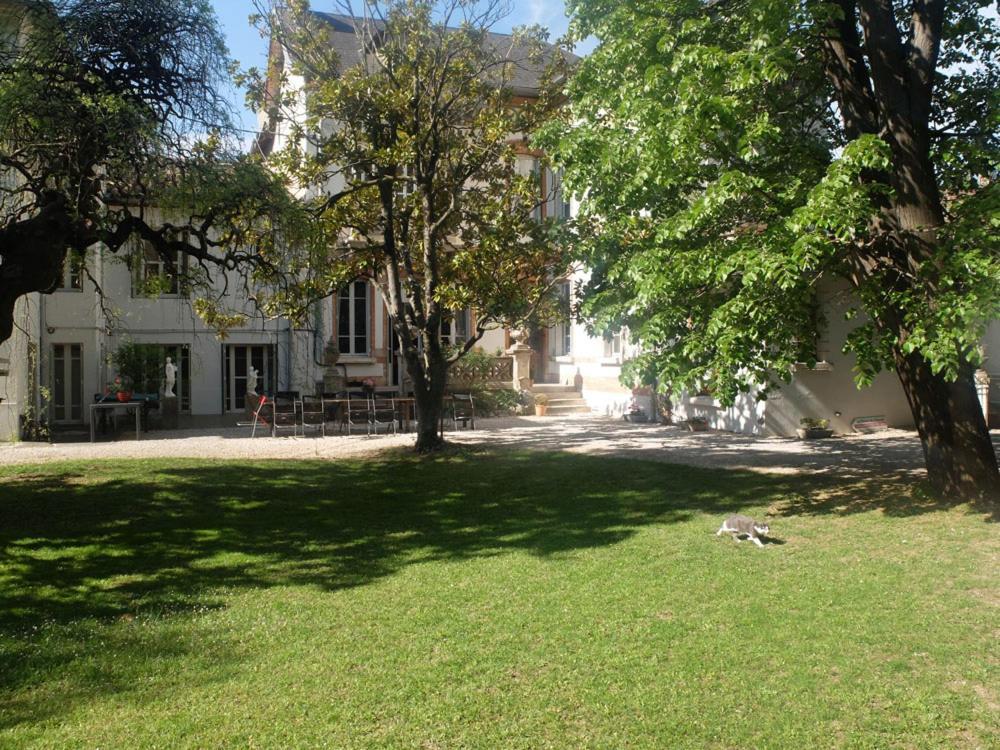 Espéraza La Maison D'Hotes Du Chapelier מראה חיצוני תמונה